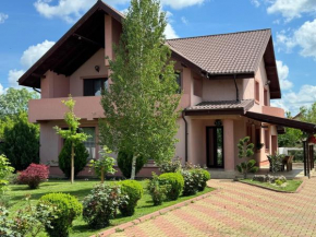 Forest Spătaru